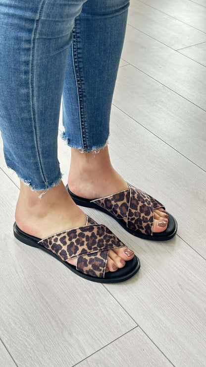 Chinelo Clip Shoes 