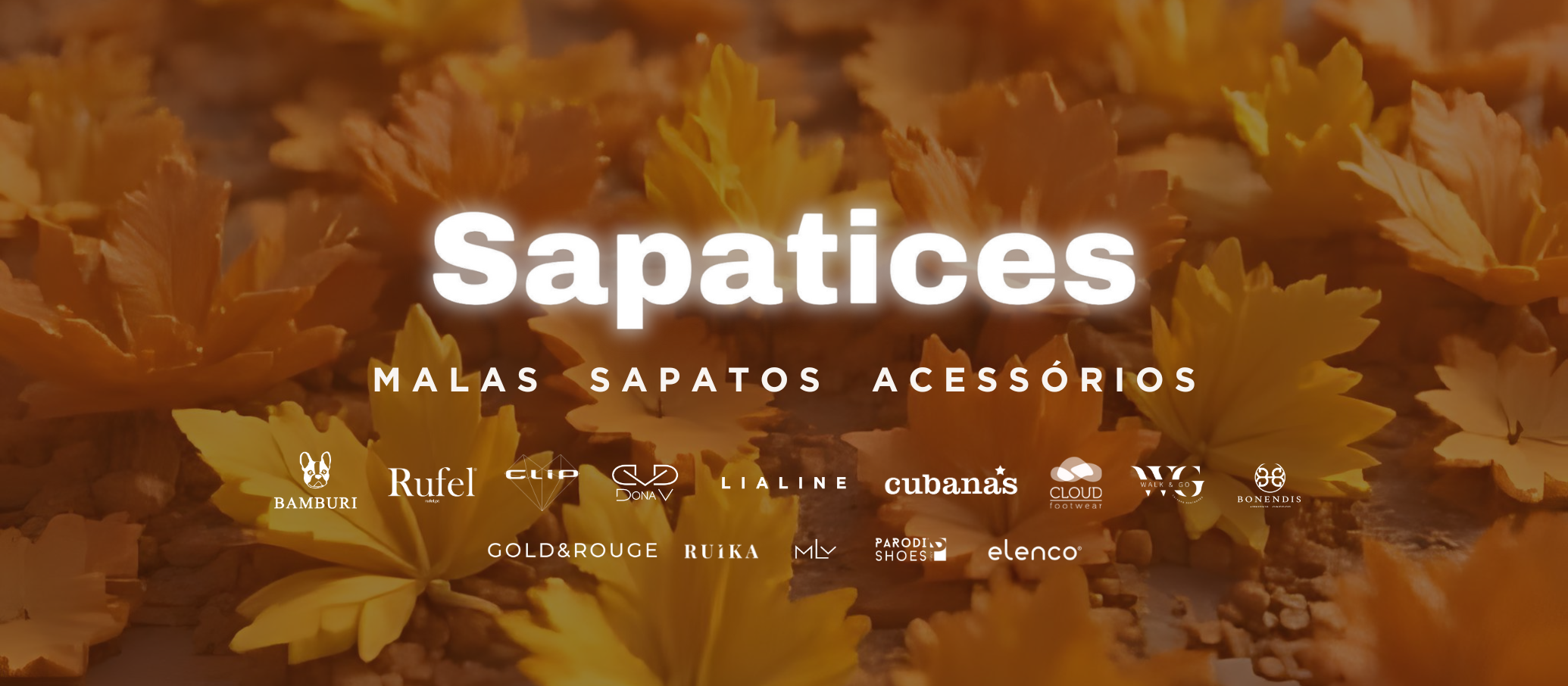 Sapatices